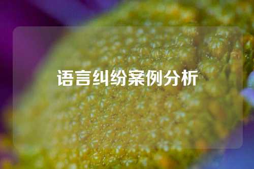 语言纠纷案例分析