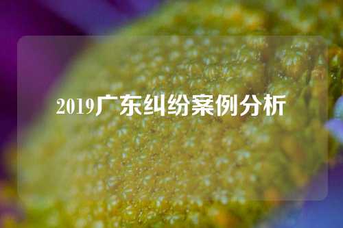 2019广东纠纷案例分析