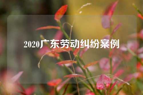 2020广东劳动纠纷案例