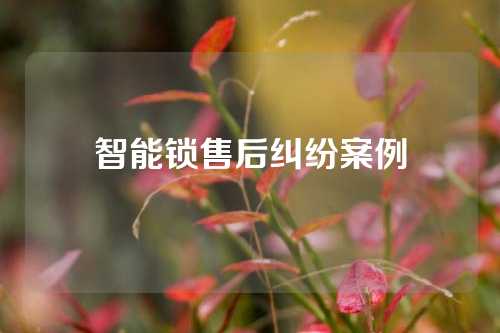 智能锁售后纠纷案例