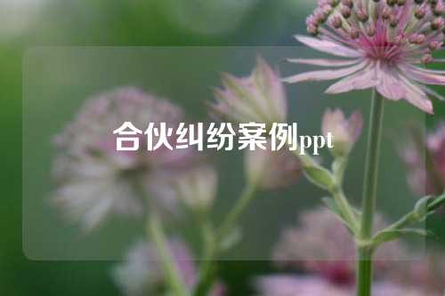 合伙纠纷案例ppt