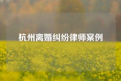 杭州离婚纠纷律师案例