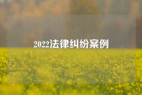 2022法律纠纷案例