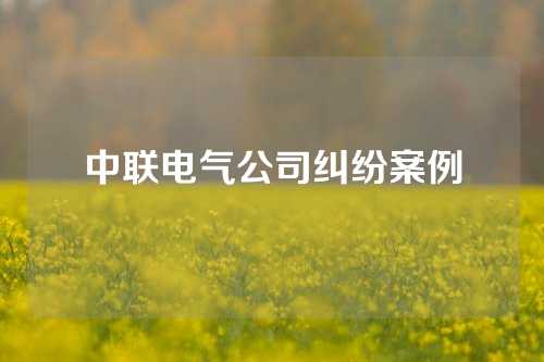 中联电气公司纠纷案例