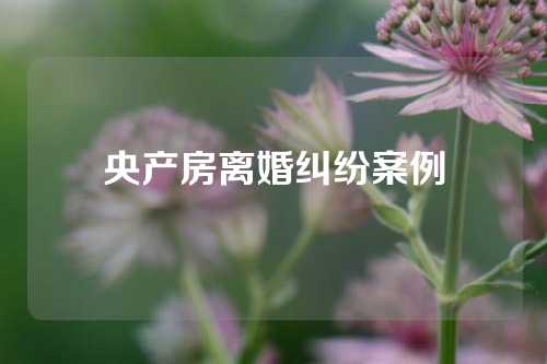 央产房离婚纠纷案例